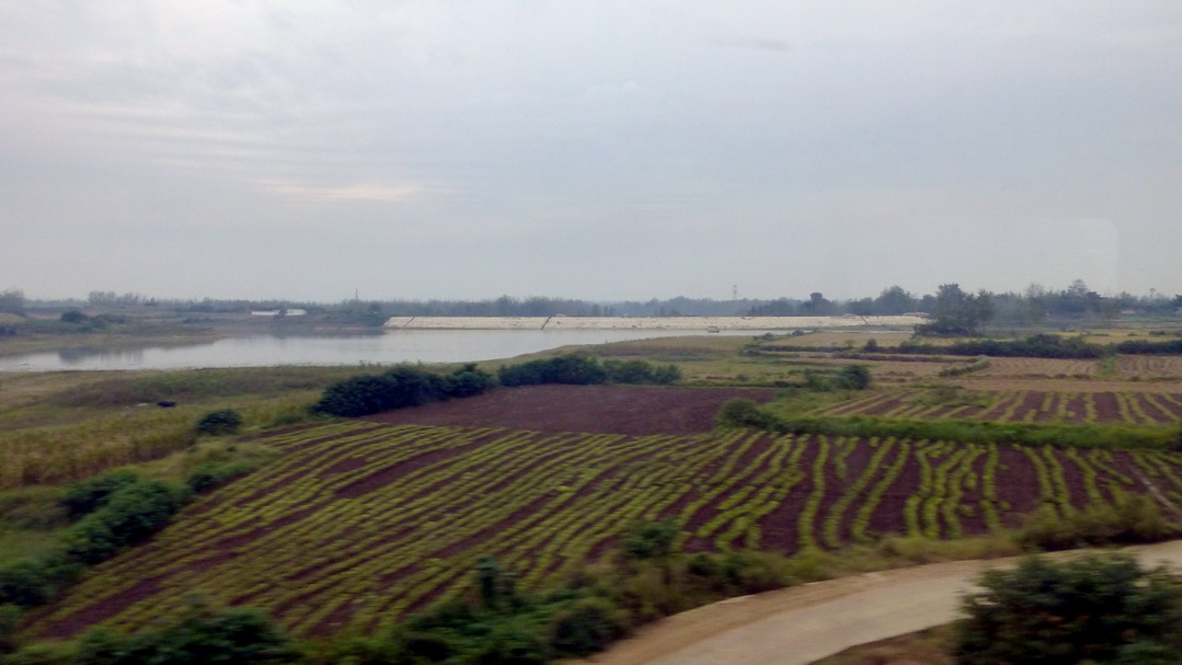 p1120943.jpg