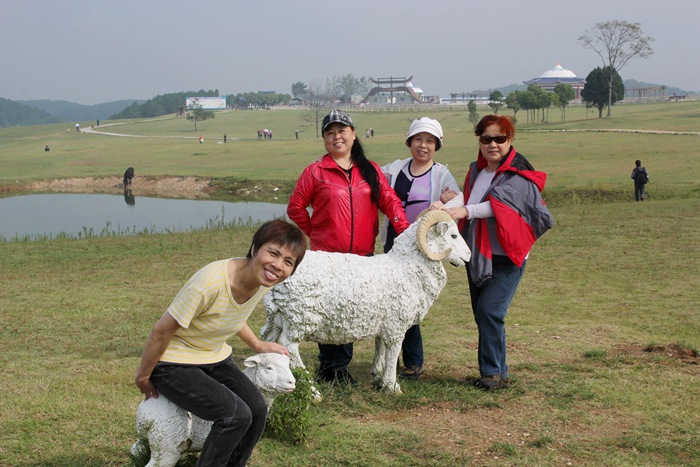 img_7461.jpg