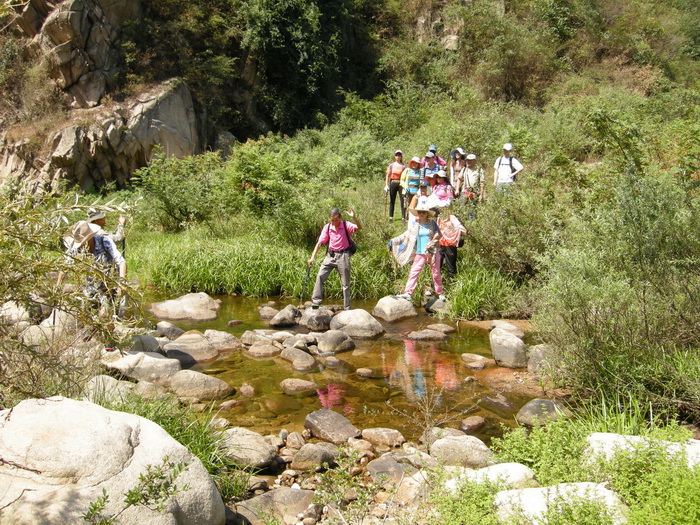dscn9518.jpg