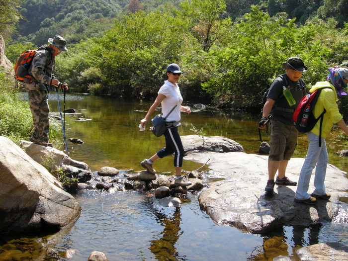 dscn9527.jpg