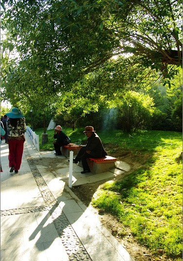 ת1.jpg