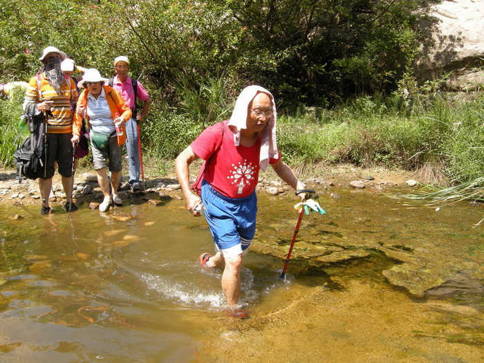dscn9537.jpg