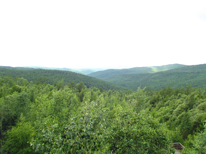 dscf3005_.jpg