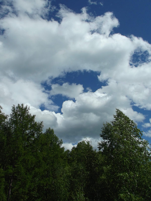dscf3014_.jpg