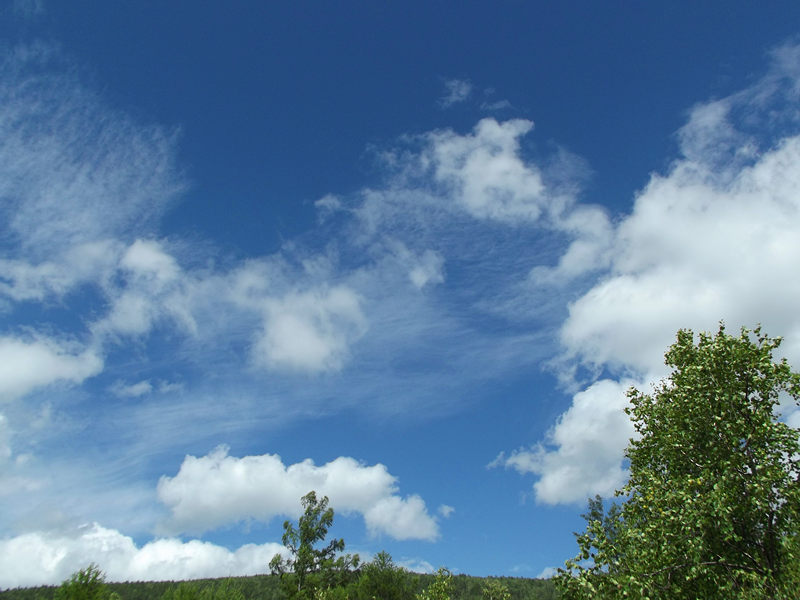 dscf3017_.jpg