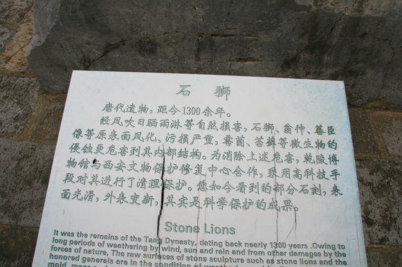 2441.jpg