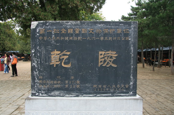 2446.jpg