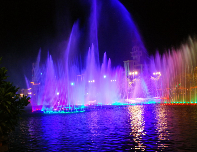dsc_0255.jpg