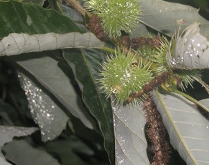 qqͼƬ20130905205955.jpg