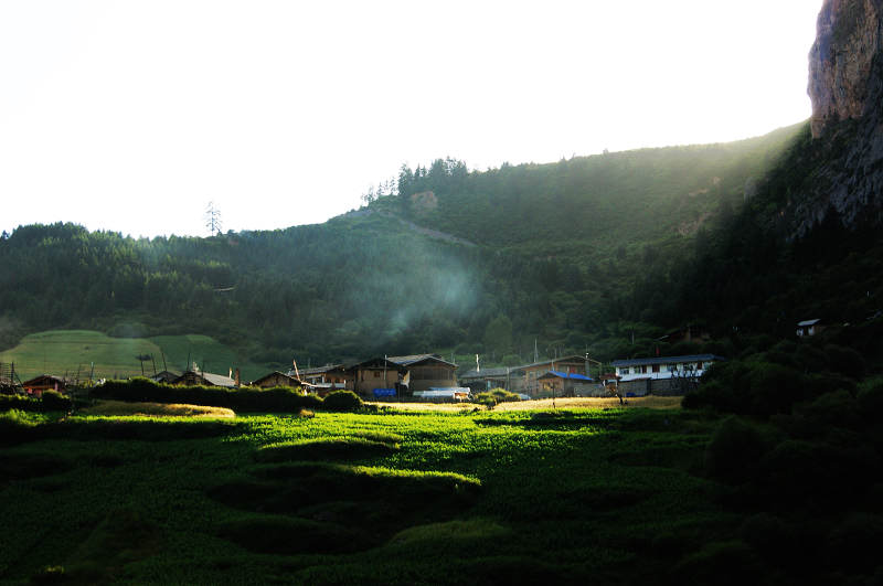 dsc03164.jpg