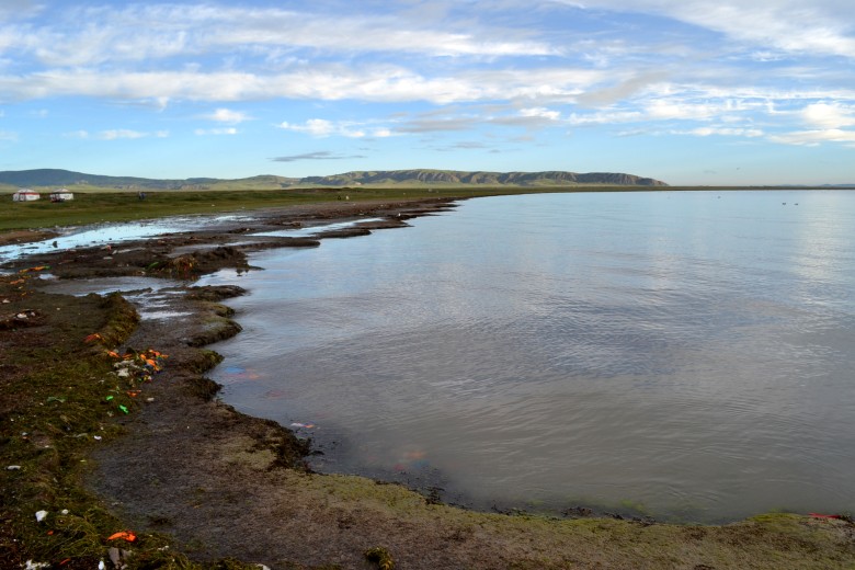 1 379_conew1.jpg