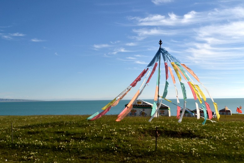 1 394_conew1.jpg