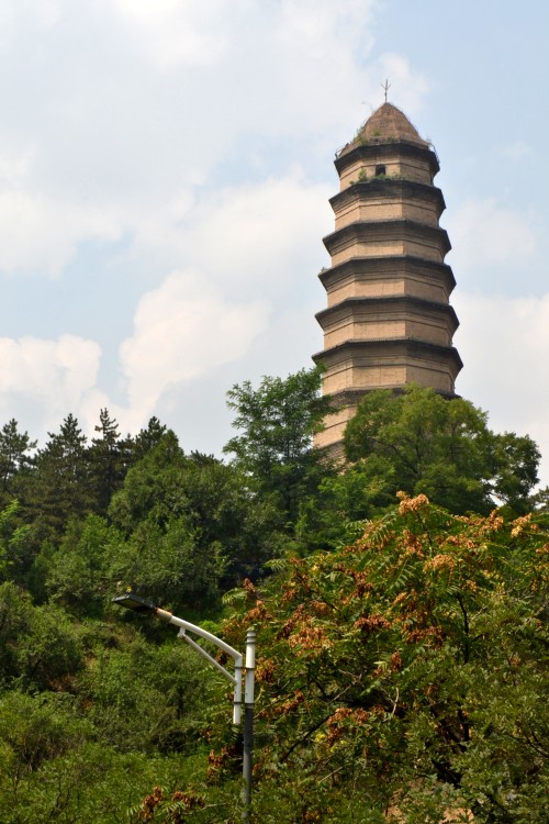 dsc_0023_conew1.jpg