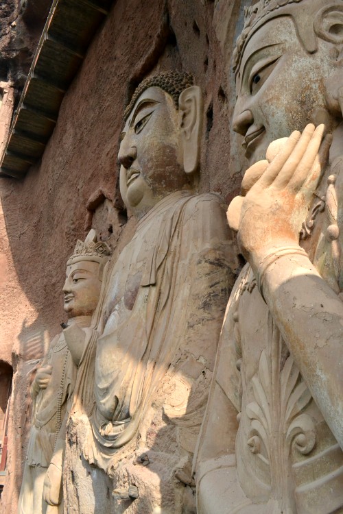 1 069_conew1.jpg
