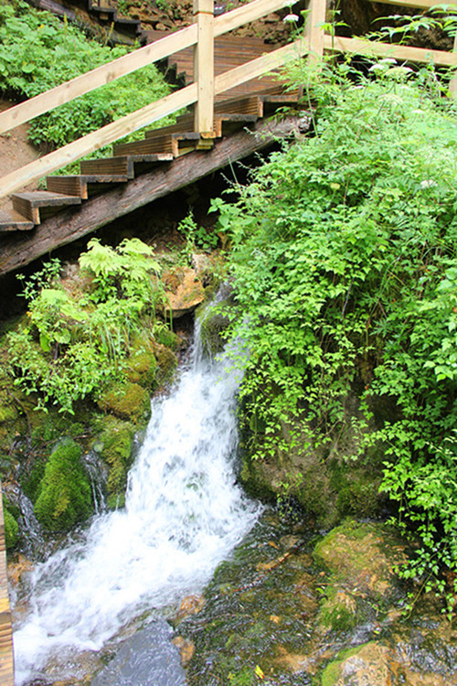 img_6915___.jpg