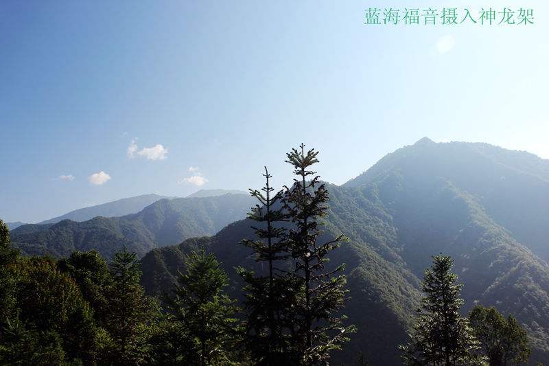 img_4128.jpg