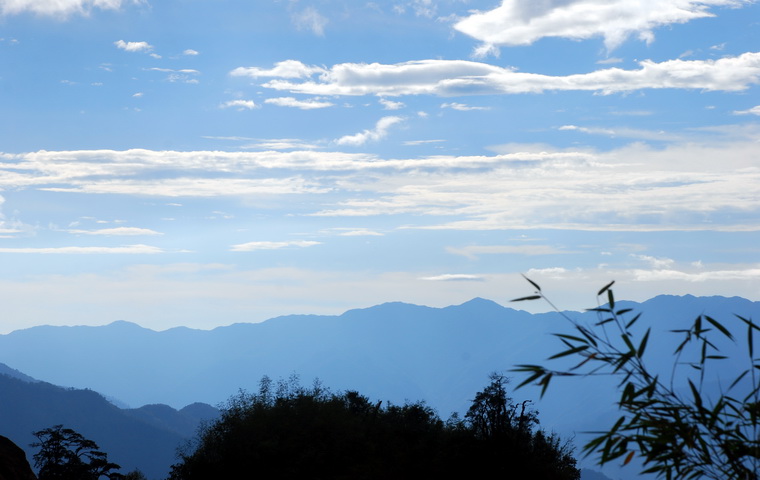 dsc_0341.jpg
