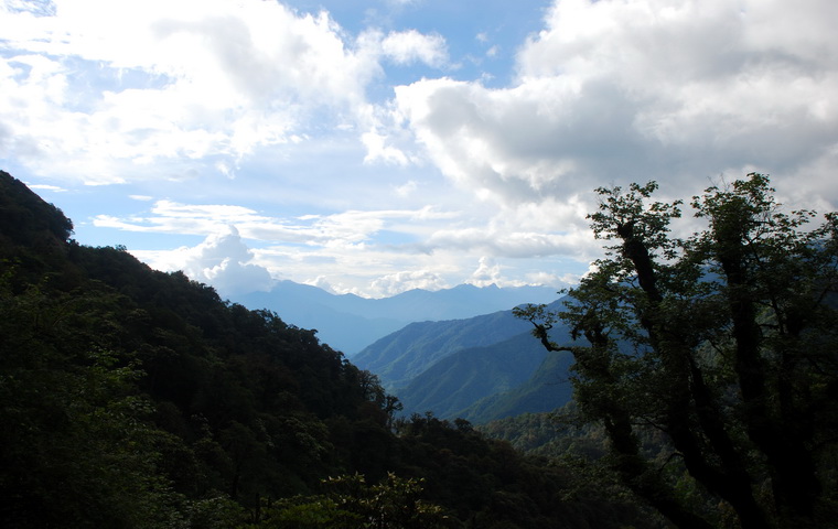 dsc_0346.jpg