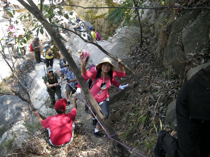 dscn9595.jpg