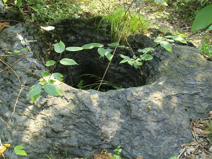 _mg_7774.jpg