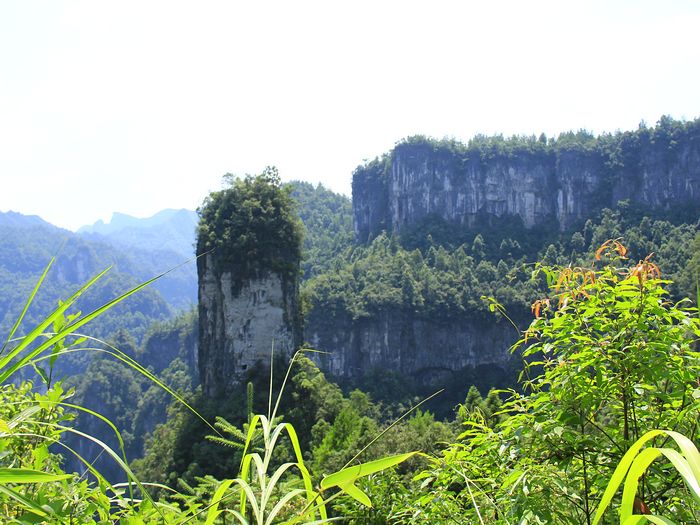 _mg_7784.jpg