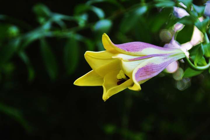 dsc_0898.jpg