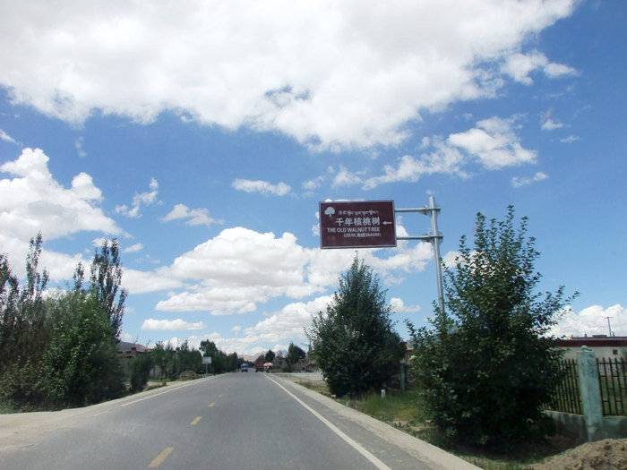DSCF2070.JPG