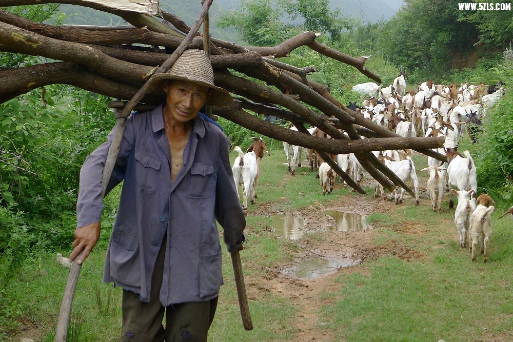 7,1黄陂溯溪.jpg