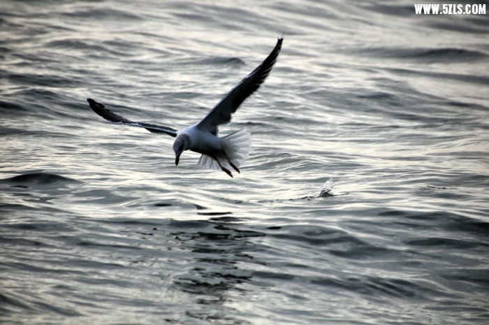 DSC_0441.JPG