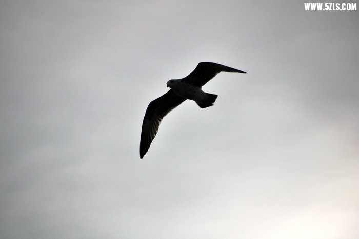 DSC_0469.JPG