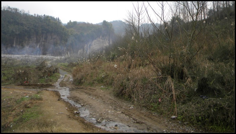 conew_Ƭ 004.jpg