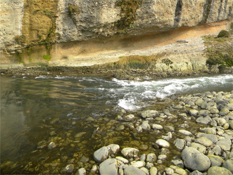 conew_Ƭ 042.jpg