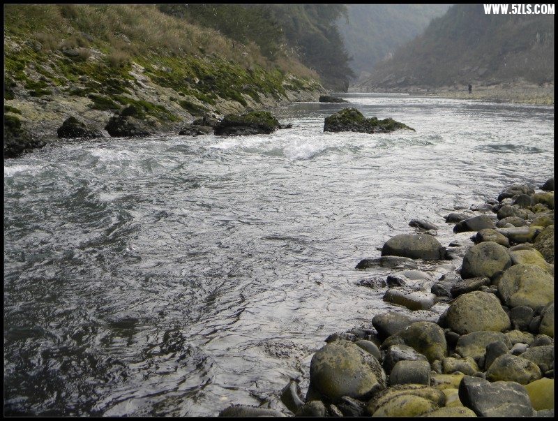 conew_Ƭ 049.jpg