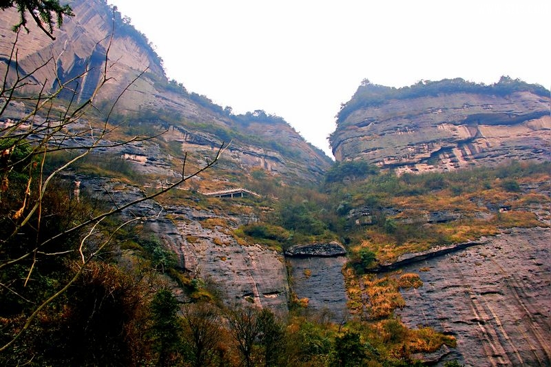 _MG_4298.jpg