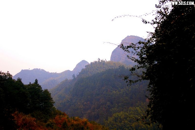 _MG_4316.jpg