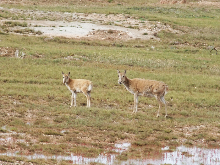 DSCF3424.jpg