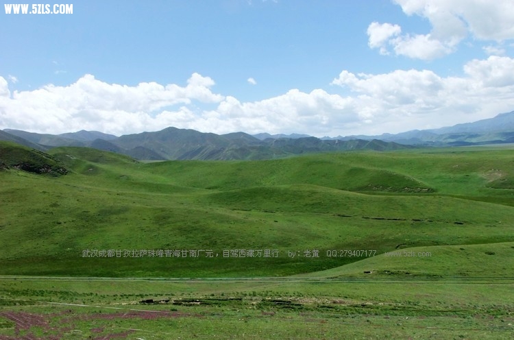 DSCF4323.jpg