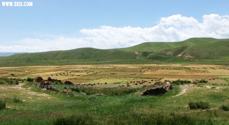 DSCF4343.jpg