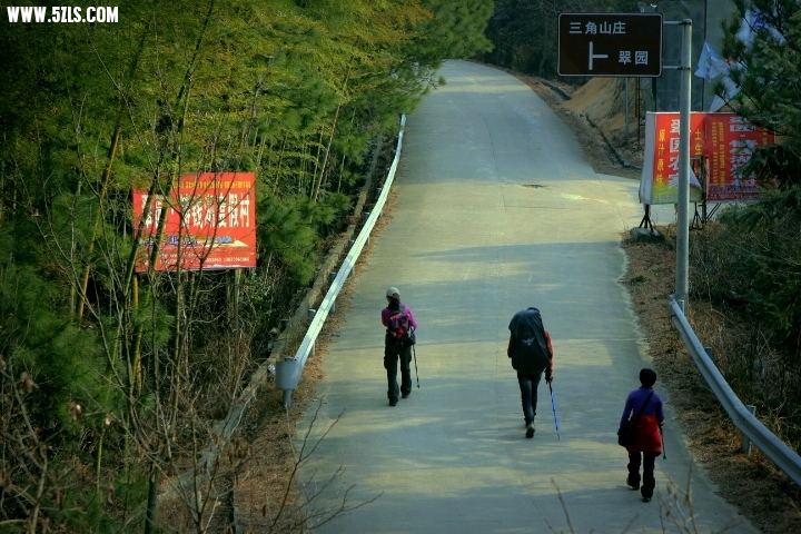 _MG_0781.JPG