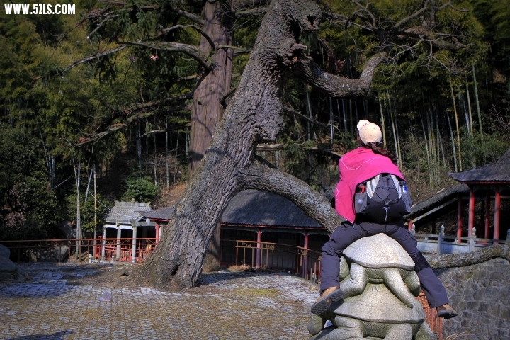 _MG_0018.JPG