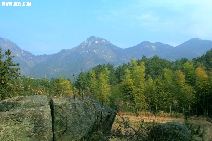 _MG_0771.JPG