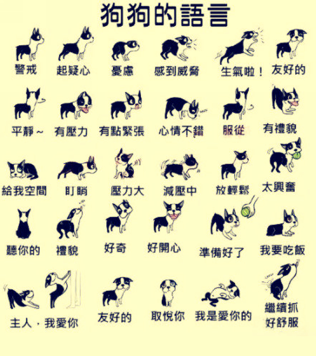 T1o47YXdlgXXXXXXXX_!!180842737-0-pix.jpg