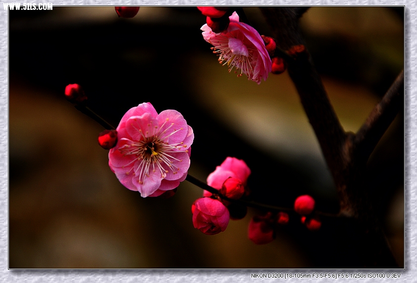 DSC_3162.jpg