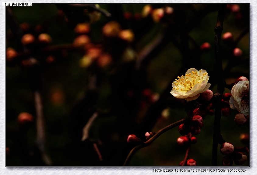 DSC_3168.jpg