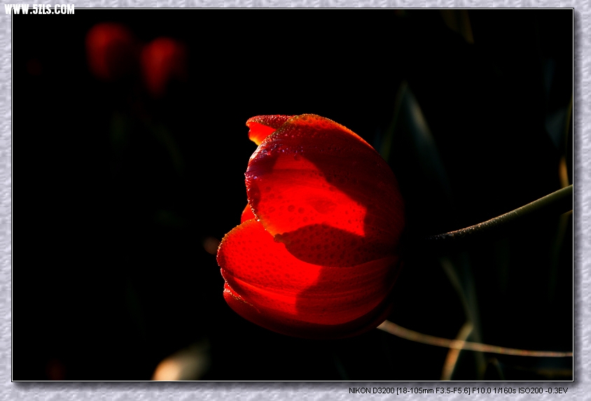 DSC_2949.jpg