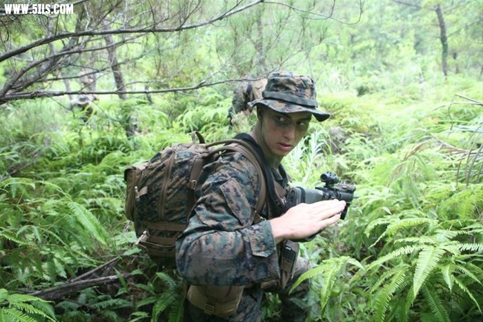 58760_1626213_44359.jpg