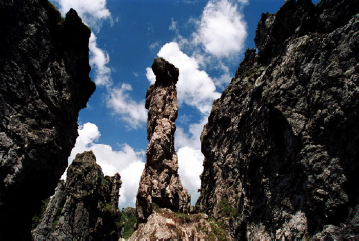 2008523133545116.jpg