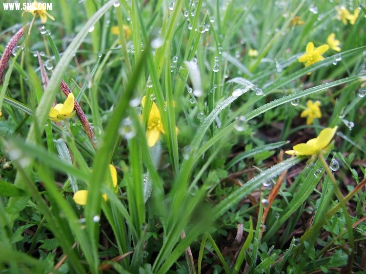 DSCF7619.jpg