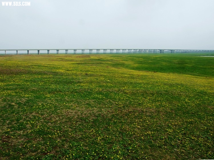 DSCF7571.jpg