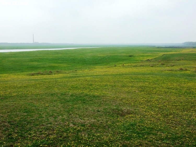 DSCF7578.jpg